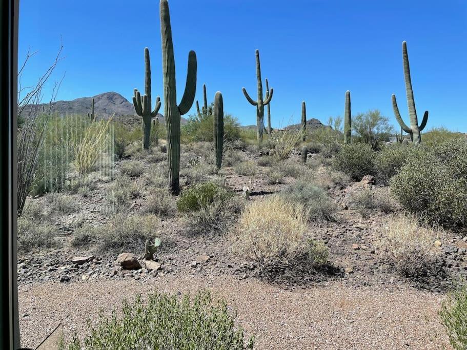 Villa Tucson Mnt Foothills Saguaro Bliss Esterno foto