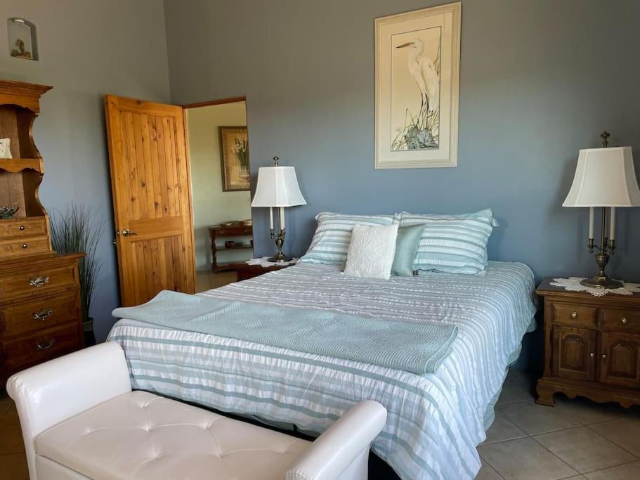 Villa Tucson Mnt Foothills Saguaro Bliss Esterno foto