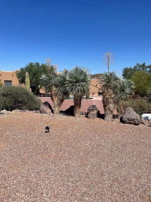 Villa Tucson Mnt Foothills Saguaro Bliss Esterno foto