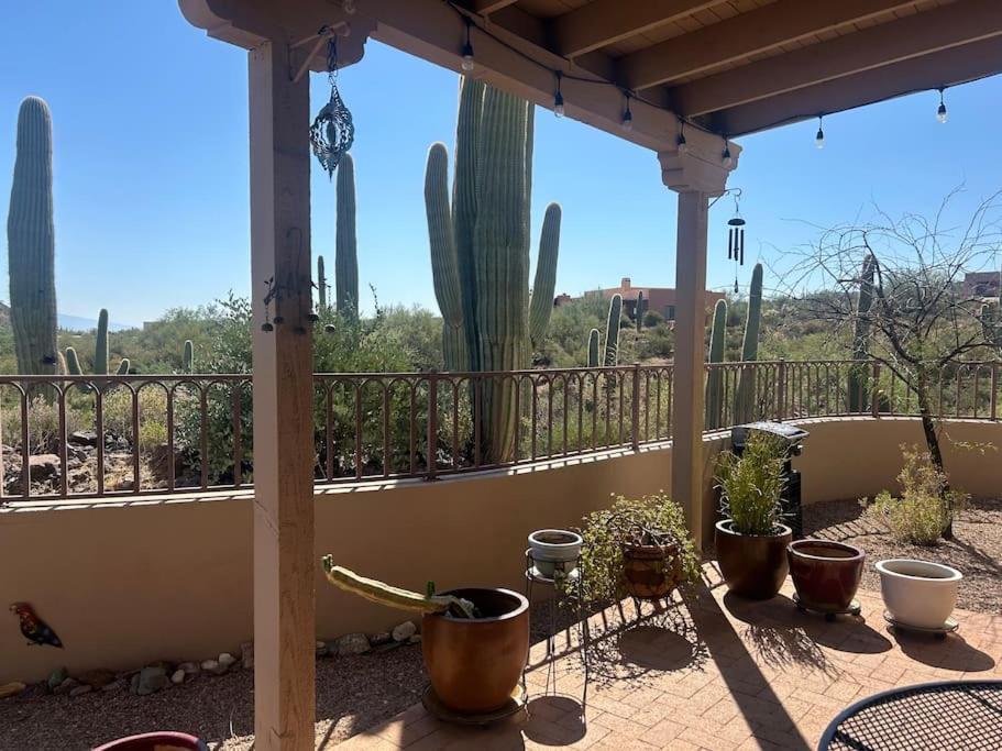 Villa Tucson Mnt Foothills Saguaro Bliss Esterno foto